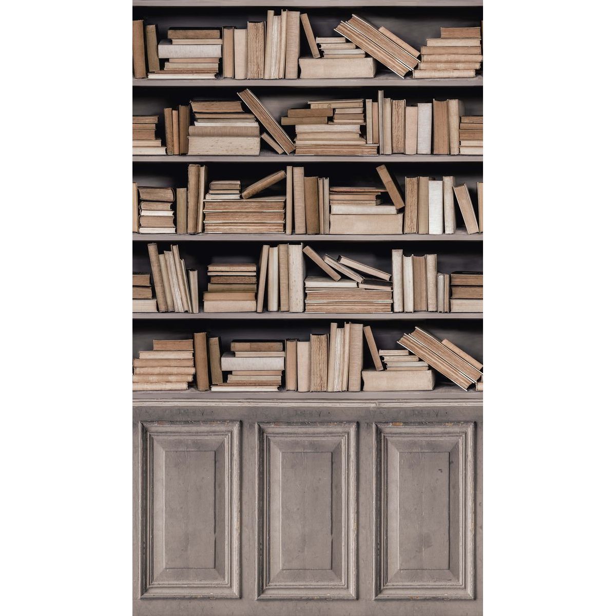 Kuvatapetti One Roll One Motif Bookshelf 2 1,59x2,80 m non-woven