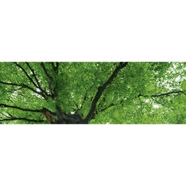 Välitilatarra Dimex Treetop 180-350x60cm