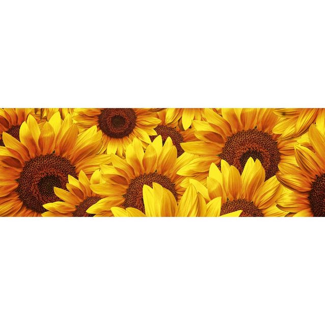 Välitilatarra Dimex Helianthus 180-350x60cm