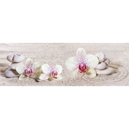 Välitilatarra Dimex Zen Garden 180-350x60cm