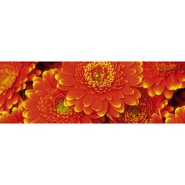 Välitilatarra Dimex Gerbera 180-350x60cm