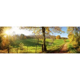 Välitilatarra Dimex Meadow 180-350x60cm