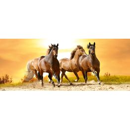 Kuvatapetti Dimex Horses In Sunset, 375x150cm, oranssi