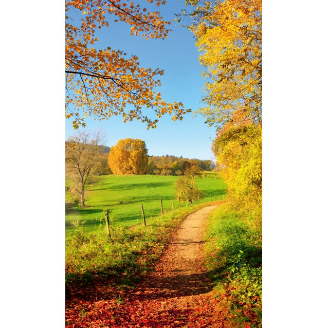 Kuvatapetti Dimex  Meadow  150 x 250 cm