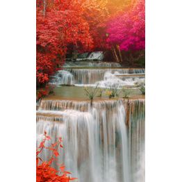 Maisematapetti Dimex Rain Forest, 150x250cm