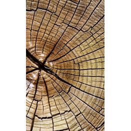 Kuvatapetti Dimex Wood, 150x250cm, ruskea, puukuosi
