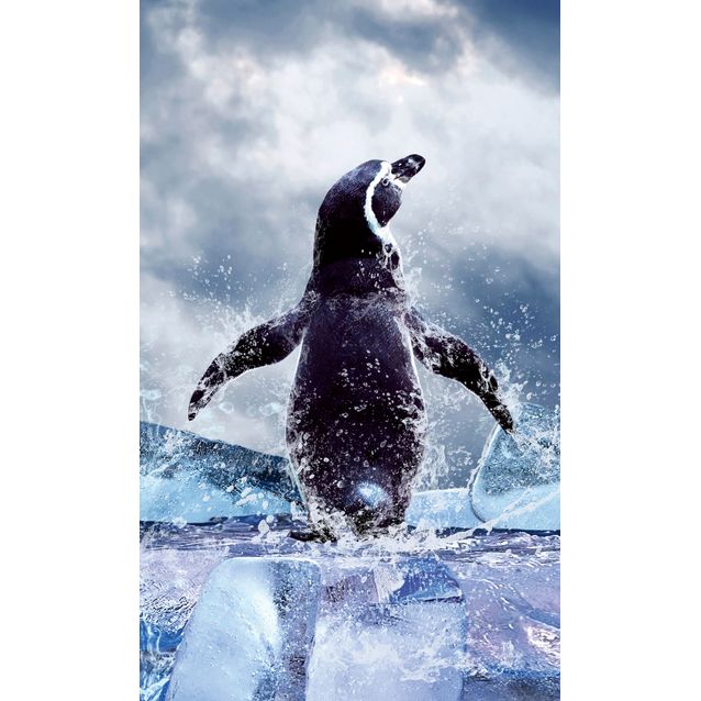 Kuvatapetti Dimex  Penguin  150 x 250 cm