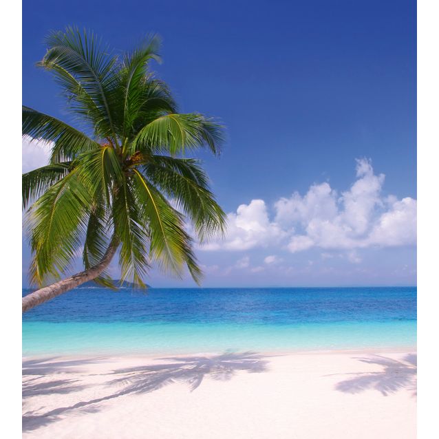 Kuvatapetti Dimex  Beach  225 x 250 cm