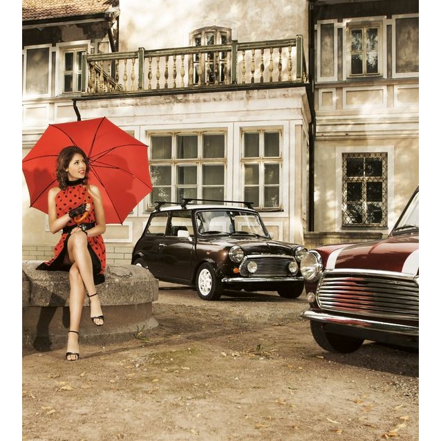 Kuvatapetti Dimex  Retro  225 x 250 cm