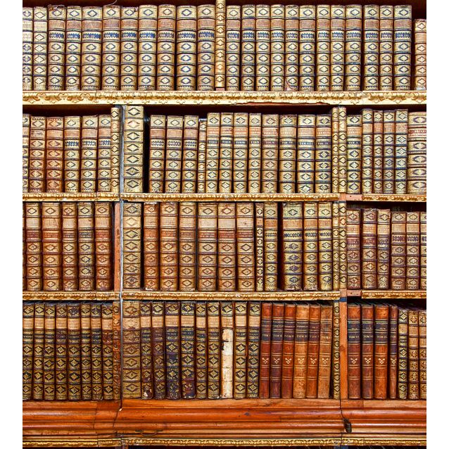 Kuvatapetti Dimex  Library  225 x 250 cm