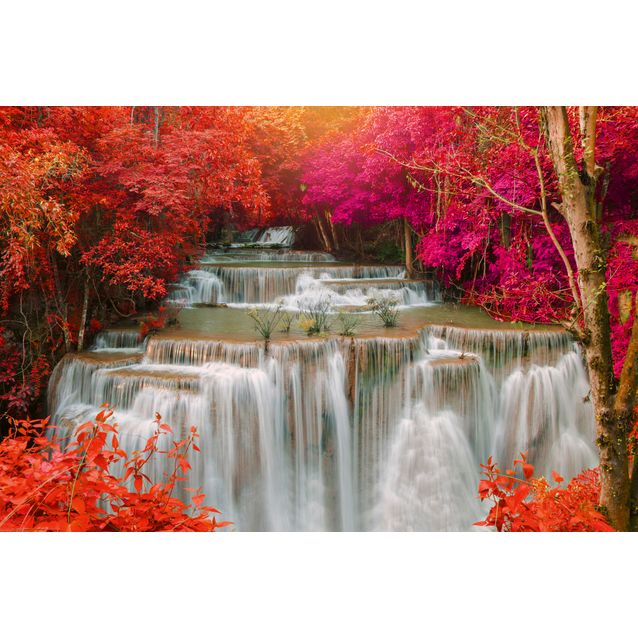 Kuvatapetti Dimex  Rain Forest 375 x 250 cm