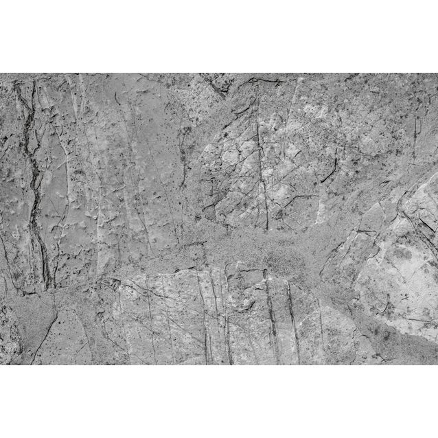 Kuvatapetti Dimex  Concrete Floor 375 x 250 cm