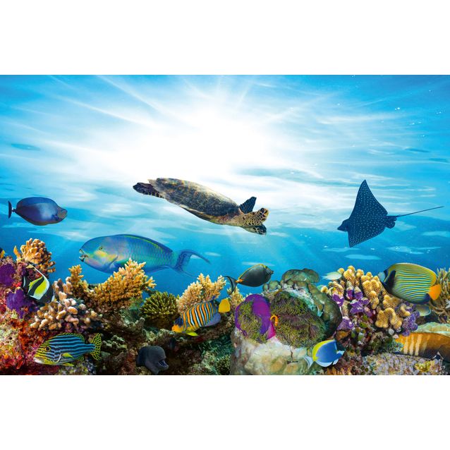 Kuvatapetti Dimex  Fish  375 x 250 cm