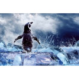 Kuvatapetti Dimex Penguin, 375x250cm, sininen, eläinkuosi