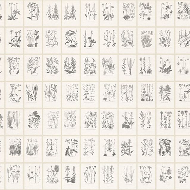 Mittatilaustapetti Botanica, Graphite (S10509)