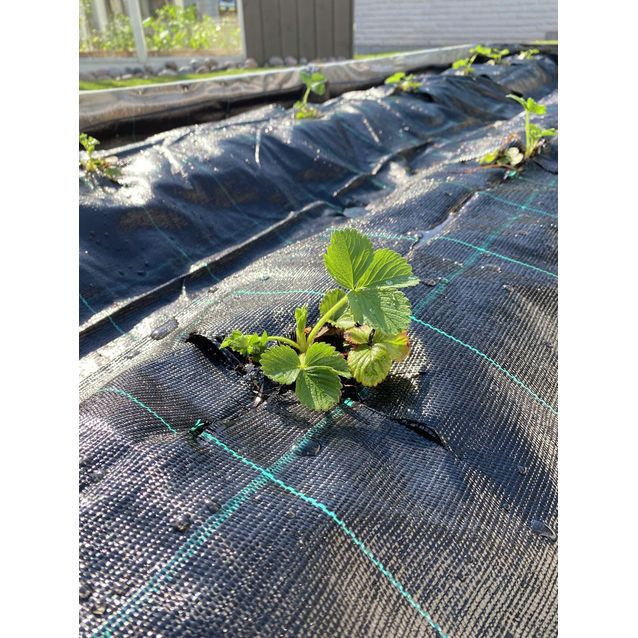 Katekangas Viheraarni, musta, 125m²