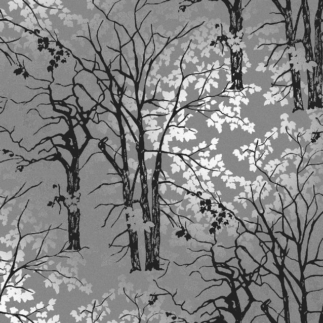 Tapetti Sandudd Rolleri 11 5391-1 0,53x11,2m harmaa