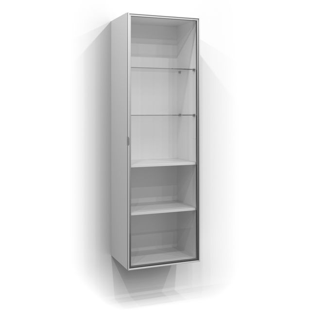 Korkean kaapin lasiovi Svedbergs 160x50 cm matta alumiini/kirkas lasi