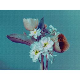 Kuvatapetti A.S. Creation THE WALL 38269-1, 371x280cm, sininen