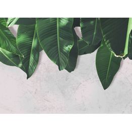 Kuvatapetti A.S. Creation Designwalls Digital, Leaves Wall, 350x255cm