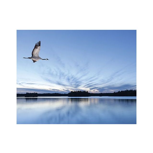 Kuvatapetti Galerie Global Fusion Digital C4, 318x250cm, sininen