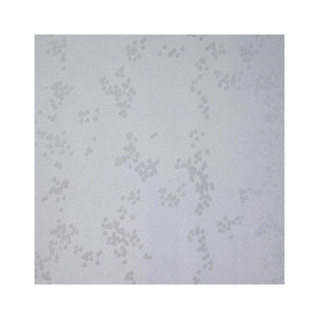 Tapetti Mimou WP2106-08