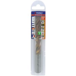 Metalliporanterä Tivoly Furius Fusio HSS, 13mm