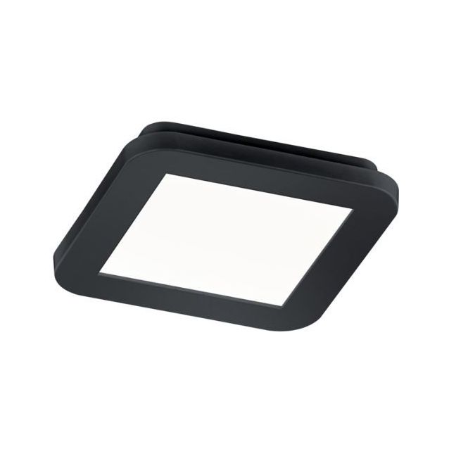 LED-plafondi Trio Camillus, 17x17 cm, mattamusta