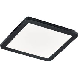 LED-plafondi Trio Camillus 30x30 cm mattamusta