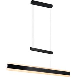 Riippuvalaisin Trio Arcola LED säädettävä värilämpötila 150cm