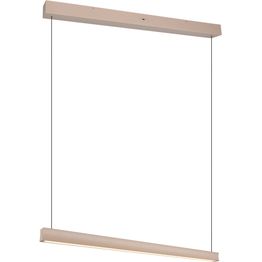 Riippuvalaisin Trio Wallace LED säädettävä värilämpötila