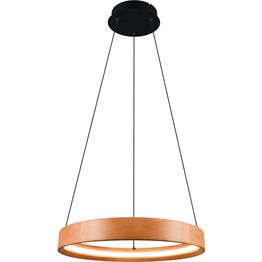 Riippuvalaisin Trio Lynwood LED 3000K 50cm puu