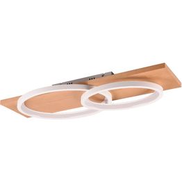 LED-kattovalaisin Trio Barca, 2-os, eri värejä