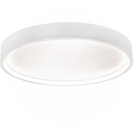 LED-kattovalaisin Trio Doha, 45cm, eri värejä