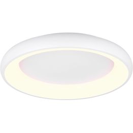 LED-kattovalaisin Trio Cardona, eri kokoja ja värejä