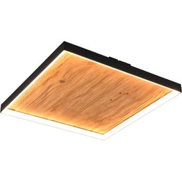 Kattovalaisin Trio Kalea LED 3000K puu