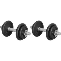 Käsipainot Atom 10+10kg