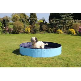 Uima-allas koiralle Rosewood¸160x30cm turkoosi/harmaa