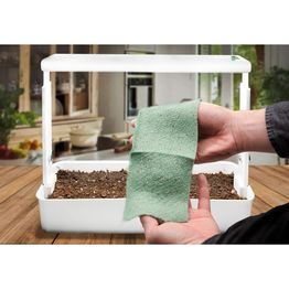 Timjamin siemenet Turfquick, kasvualustalla