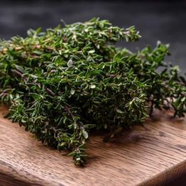 Kaalin siemenet Turfquick, kasvualustalla