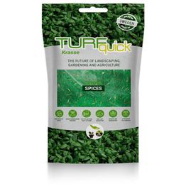 Vesikrassin siemenet Turfquick, kasvualustalla