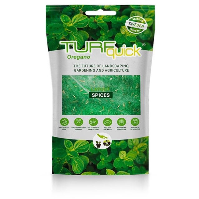 Oreganon siemenet Turfquick, kasvualustalla