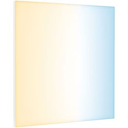 LED-paneeli Paulmann Velora, Smart Home Zigbee 3.0, 59.5x59.5cm, 19.5W, säädettävä värilämpötila, himmennettävä, mattavalkoinen