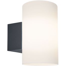 Ulkoseinävalaisin Paulmann Tube, IP54, 12cm, antrasiitti