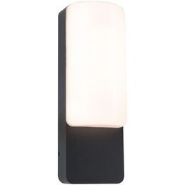 LED-ulkoseinävalaisin Paulmann Bonnie, IP44, 3000K, antrasiitti