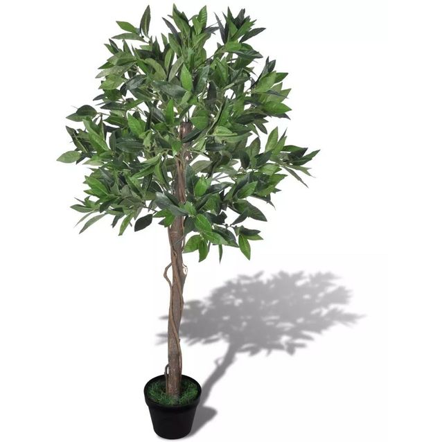 Tekokasvi laakeripuu ruukussa 120 cm_1