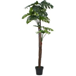 Tekokasvi ruukulla jättipeikonlehti 170 cm vihreä