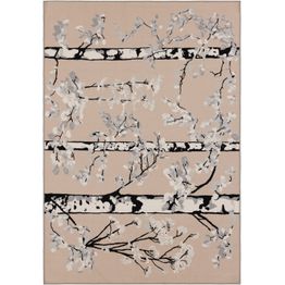 Matto Vallila Luontopolku