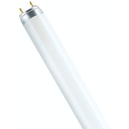 Loisteputki Patron T5 G5 14W, eri värilämpötiloja