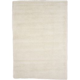 Matto Venture Home Walter